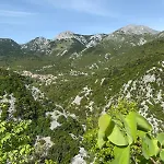 Whole House Evia Stropones