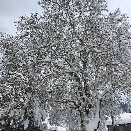 Prázdninový dům Whole House Evia